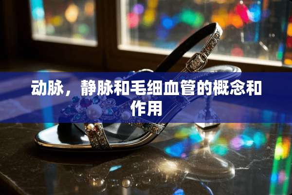 动脉，静脉和毛细血管的概念和作用