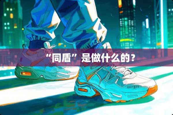 “同盾”是做什么的？