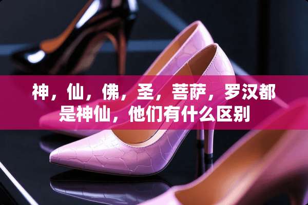 神，仙，佛，圣，菩萨，罗汉都是神仙，他们有什么区别