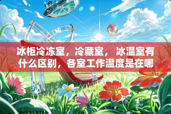 冰柜冷冻室，冷藏室， 冰温室有什么区别，各室工作温度是在哪个范围？