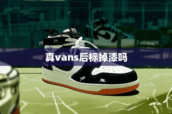真vans后标掉漆吗
