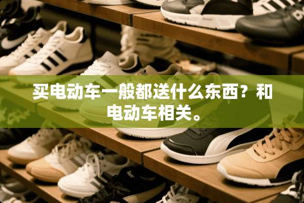 买电动车一般都送什么东西？和电动车相关。