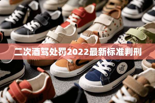 二次酒驾处罚2022最新标准判刑