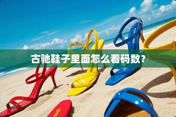 古驰鞋子里面怎么看码数？
