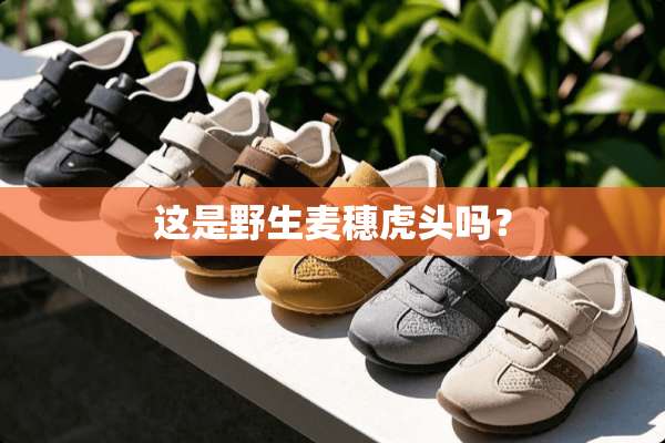 这是野生麦穗**吗？