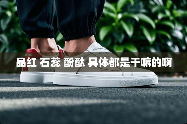 品红 石蕊 酚酞 具体都是干嘛的啊