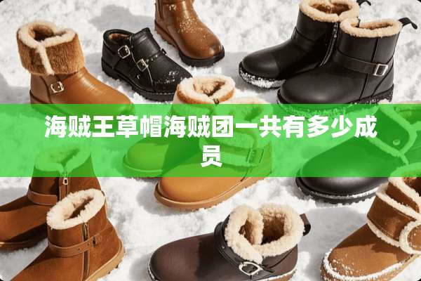 海贼王草帽海贼团一共有多少成员