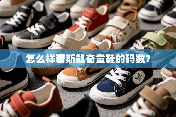 怎么样看斯凯奇童鞋的码数？