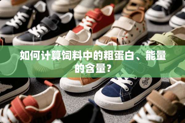 如何计算饲料中的粗蛋白、能量的含量？