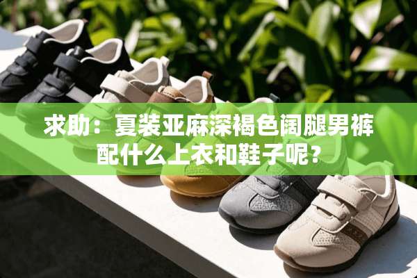 求助：夏装亚麻深褐色阔腿男裤配什么上衣和鞋子呢？