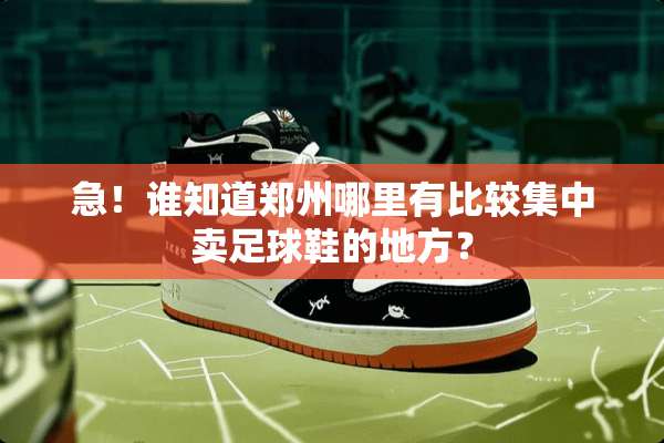 急！谁知道郑州哪里有比较集中卖**鞋的地方？