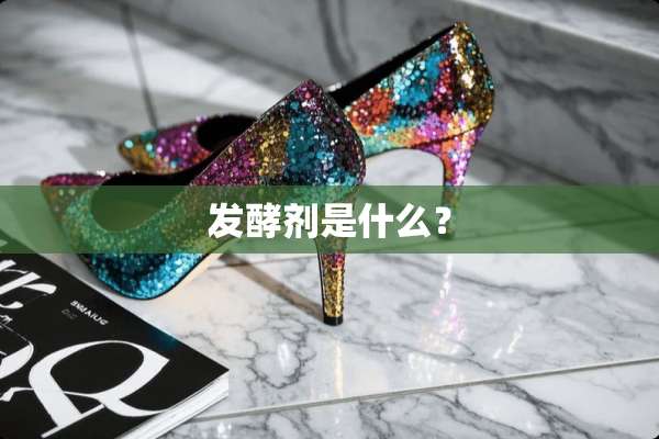 发酵剂是什么？