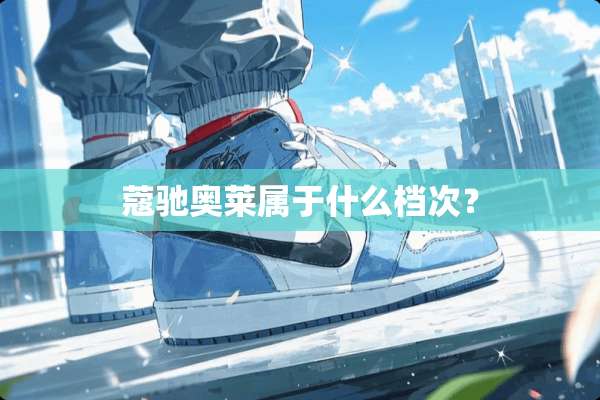 蔻驰奥莱属于什么档次？