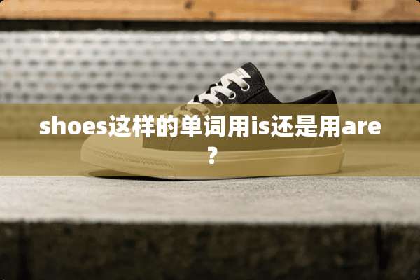 shoes这样的单词用is还是用are？