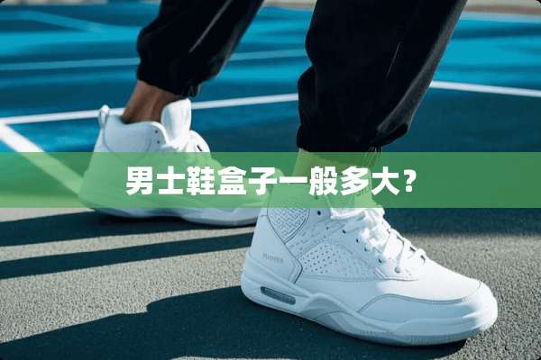男士鞋盒子一般多大？
