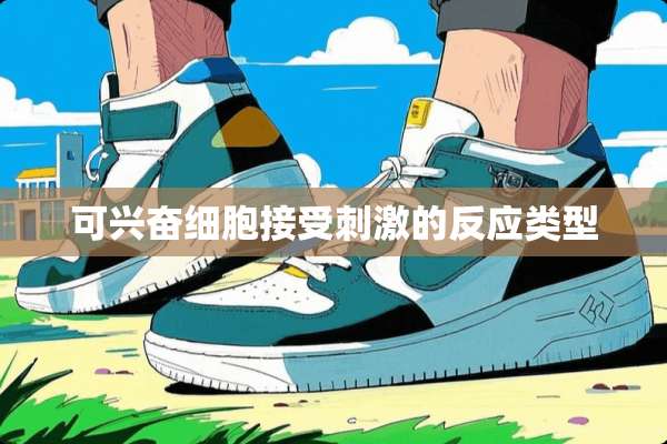 可兴奋细胞接受**的反应类型