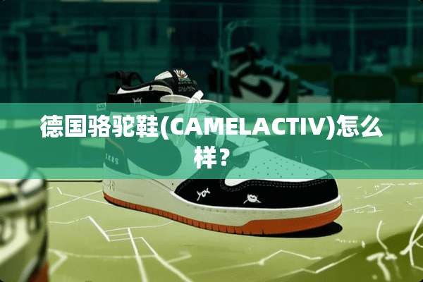 德国骆驼鞋(CAMELACTIV)怎么样？