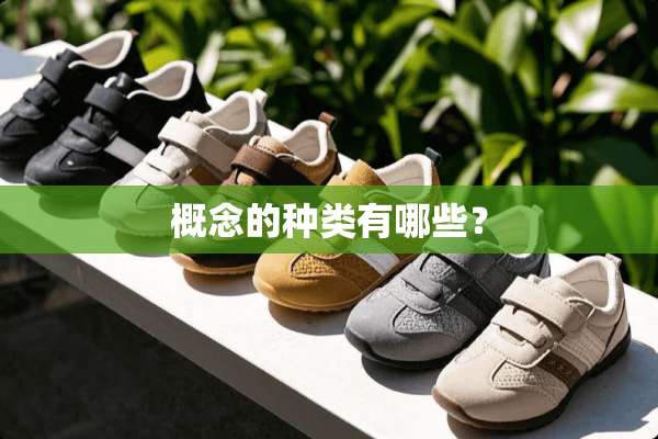 概念的种类有哪些？