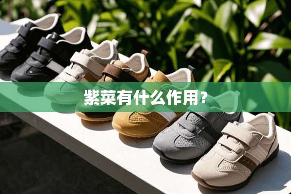 紫菜有什么作用？