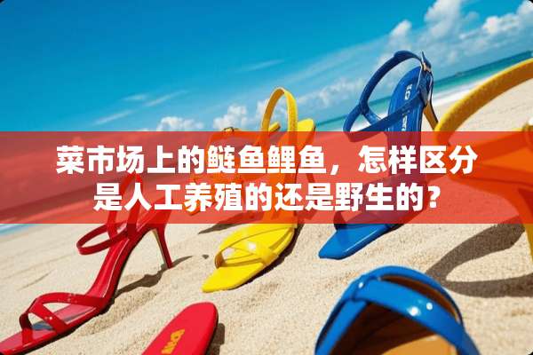 菜市场上的鲢鱼鲤鱼，怎样区分是人工养殖的还是野生的？