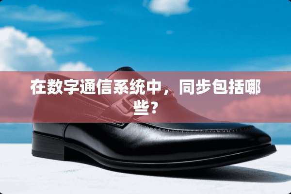 在数字通信系统中，同步包括哪些？