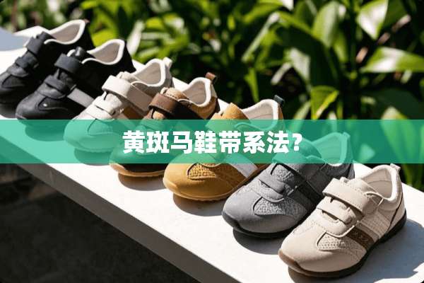 黄斑马鞋带系法？