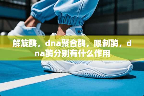解旋酶，dna聚合酶，限制酶，dna酶分别有什么作用