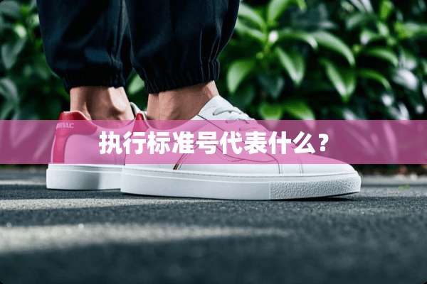 执行标准号代表什么？