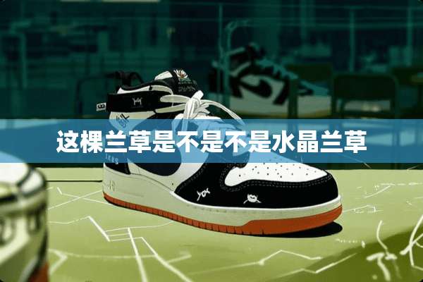 这棵兰草是不是不是水晶兰草