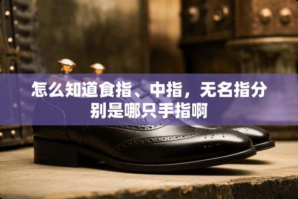 怎么知道食指、中指，无名指分别是哪只手指啊