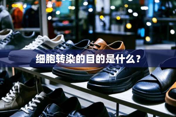 细胞转染的目的是什么？