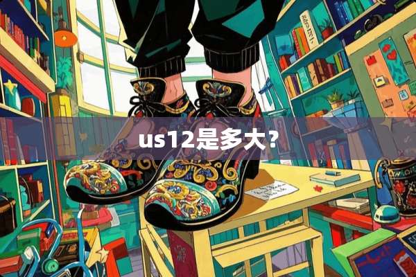 us12是多大？