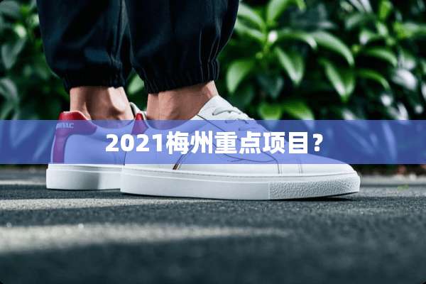 2021梅州重点项目？
