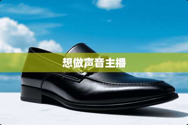 想做声音主播
