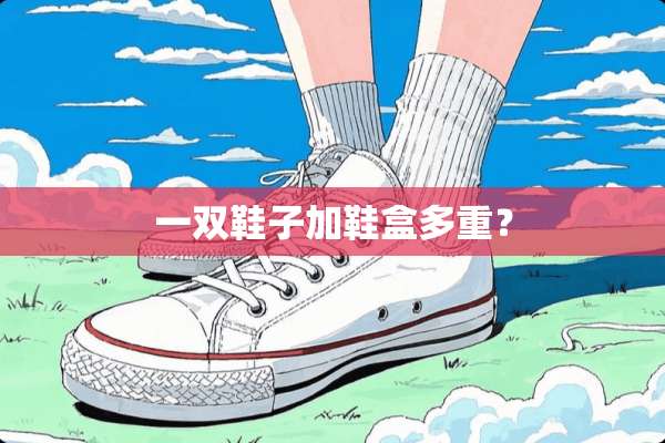 一双鞋子加鞋盒多重？