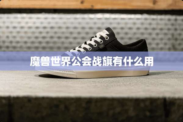 魔兽世界公会战旗有什么用