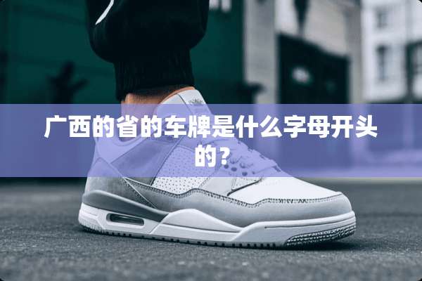 广西的省的车牌是什么字母开头的？