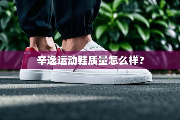 辛逸运动鞋质量怎么样？