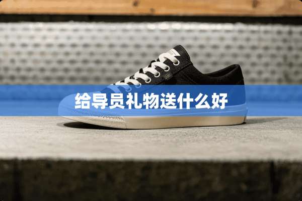 给导员礼物送什么好