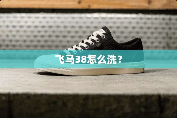 飞马38怎么洗？