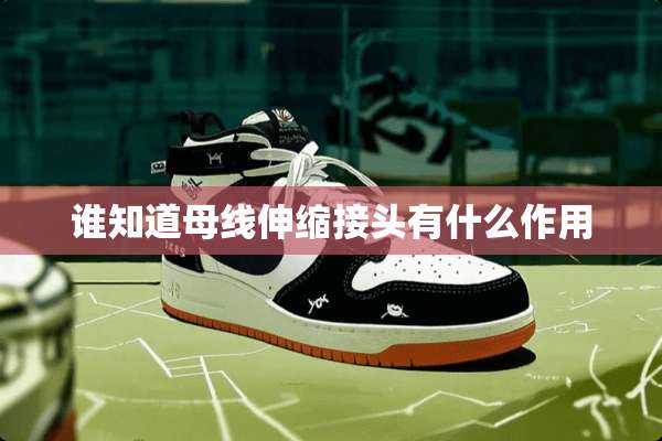 谁知道母线伸缩接头有什么作用