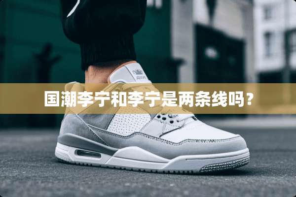 国潮李宁和李宁是两条线吗？