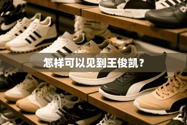 怎样可以见到王俊凯？