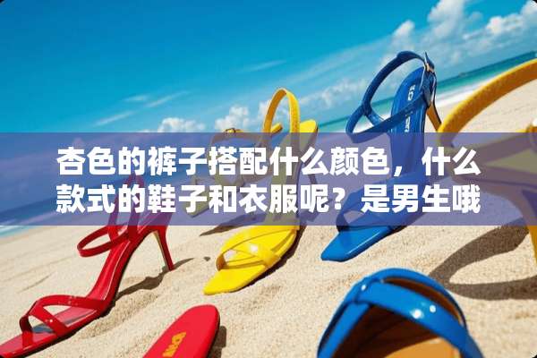 杏色的裤子搭配什么颜色，什么款式的鞋子和衣服呢？是男生哦。谢谢大家的帮忙？