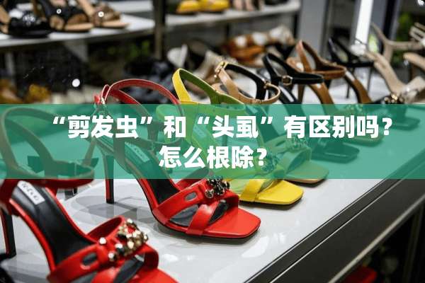 “剪发虫”和“头虱”有区别吗？怎么根除？