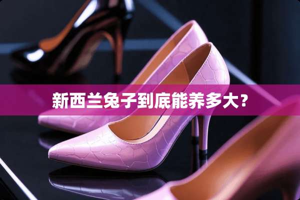 新西兰兔子到底能养多大？