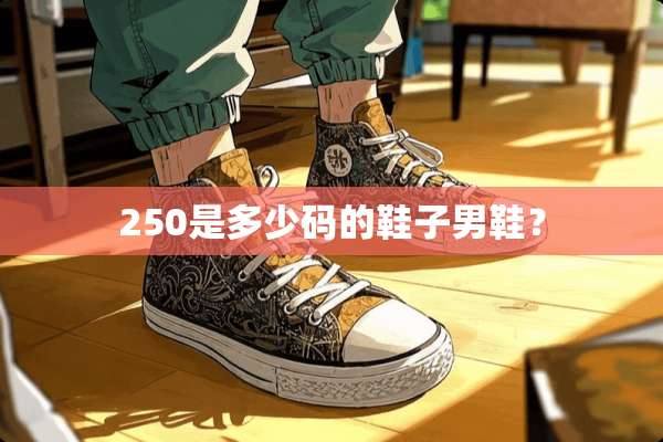 250是多少码的鞋子男鞋？