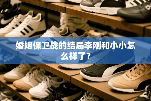 婚姻保卫战的结局李刚和小小怎么样了？