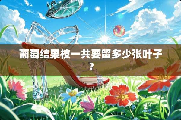 葡萄结果枝一共要留多少张叶子？