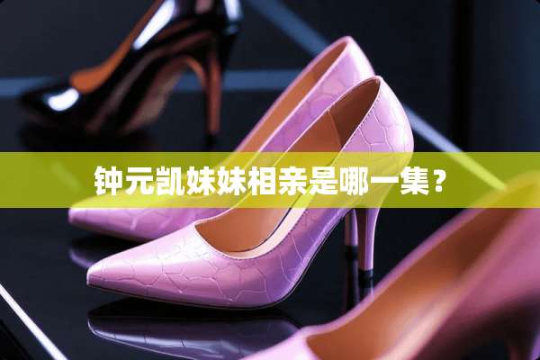 钟元凯妹妹相亲是哪一集？